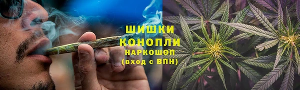 Альфа ПВП Лиски