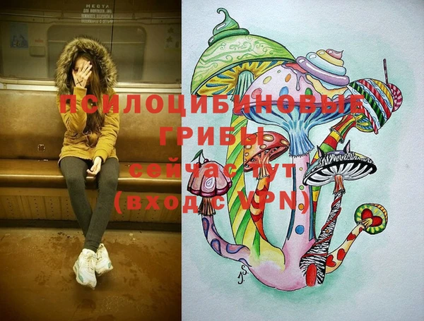 ГАЛЛЮЦИНОГЕННЫЕ ГРИБЫ Ладушкин