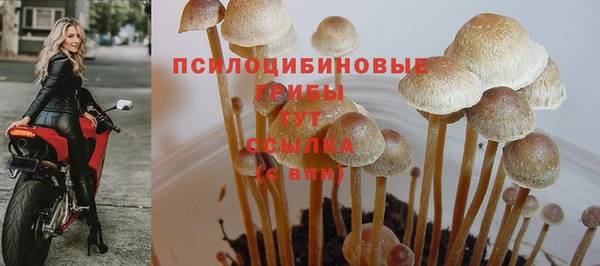 прущий лед Лабытнанги